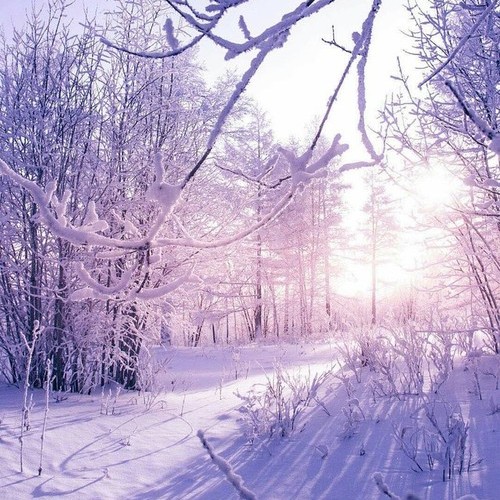 Zimowy mix zdjęć