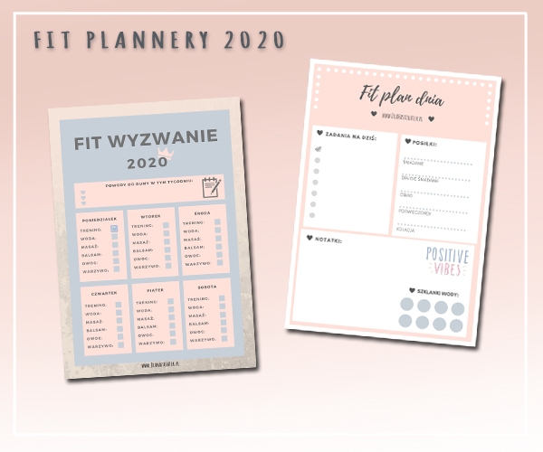FIT plannery 2020