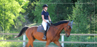 Czy jazda konna to najtrudniejszy sport na świecie? jazda konna