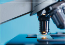 Jak rozmnożyć pantofelka? Prosty sposób na stworzenie własnej mikrokultury! mikroskop